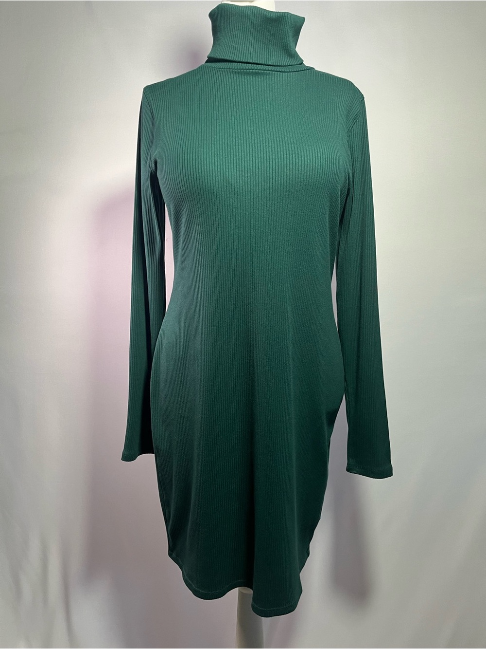 Turtleneck Long Sleeve Ribbed Bodycon Dress